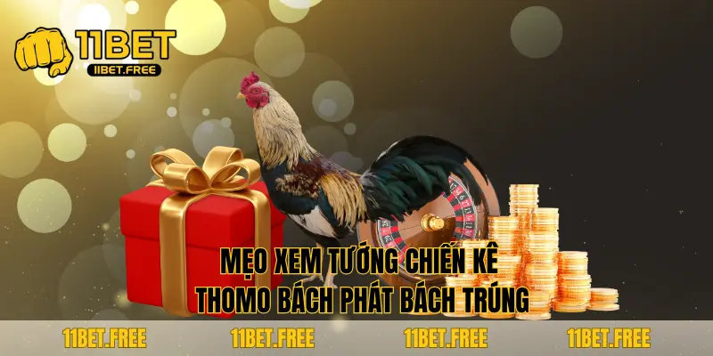 Mẹo xem tướng chiến kê thomo bách phát bách trúng