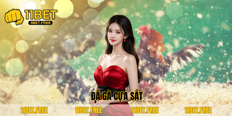 ảnh đại diện đá gà cựa sắt
