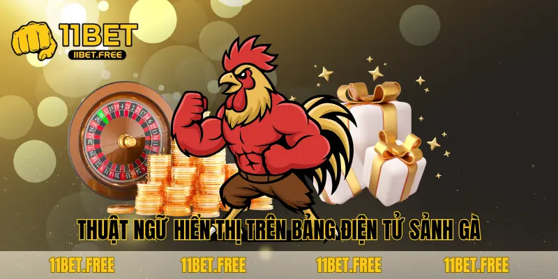 Thuật ngữ hiển thị trên bảng điện tử sảnh gà